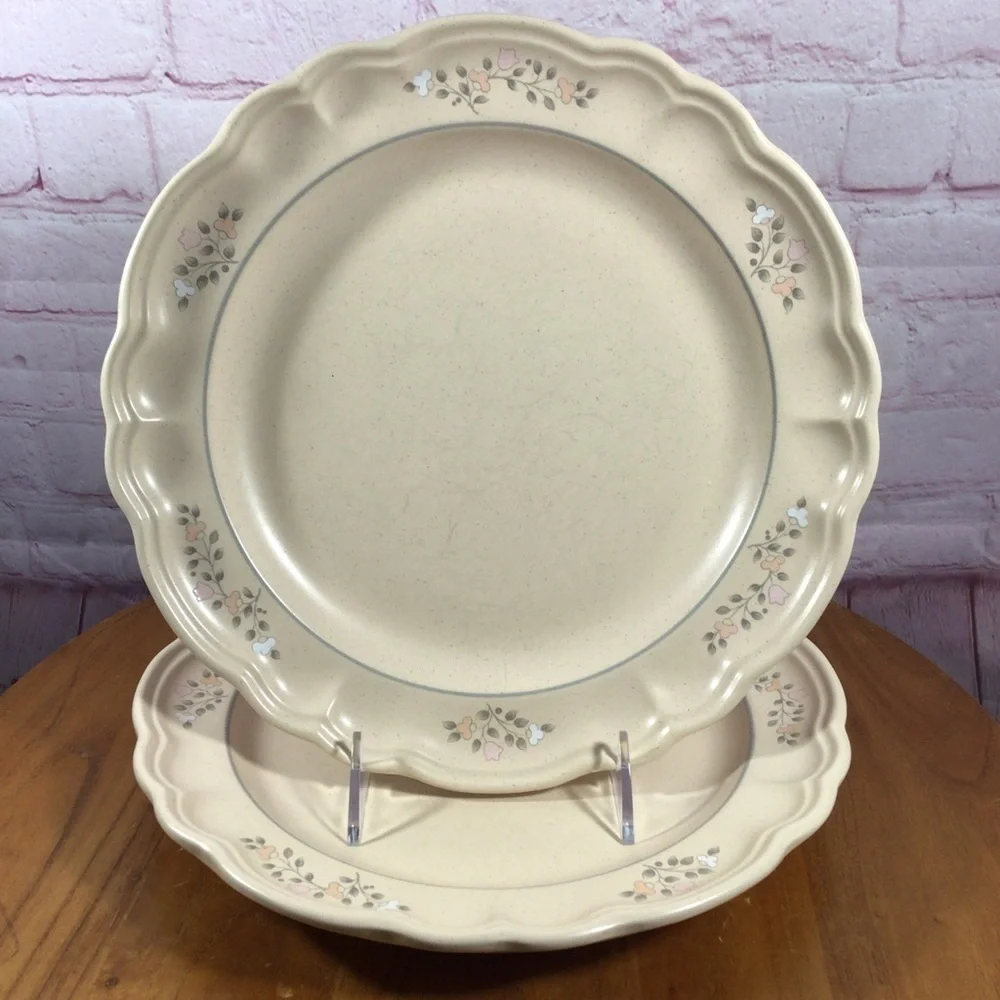 Vintage Pfaltzgraff Remembrance Dinner Plates - Set of 2